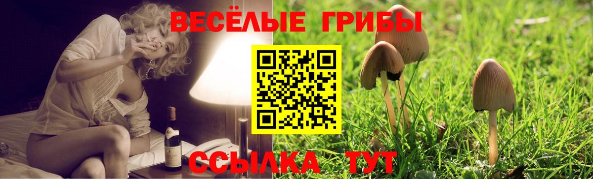 Псилоцибиновые грибы ЛСД  Вход с VPN  Соликамск 