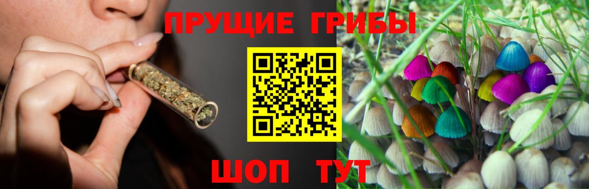 Псилоцибиновые грибы мицелий Соликамск